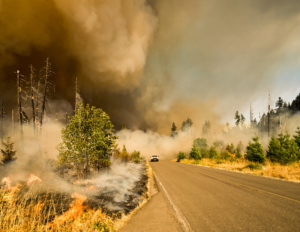 Fire Season 2021 – BC Wildfire Preparedness HG Insurance
